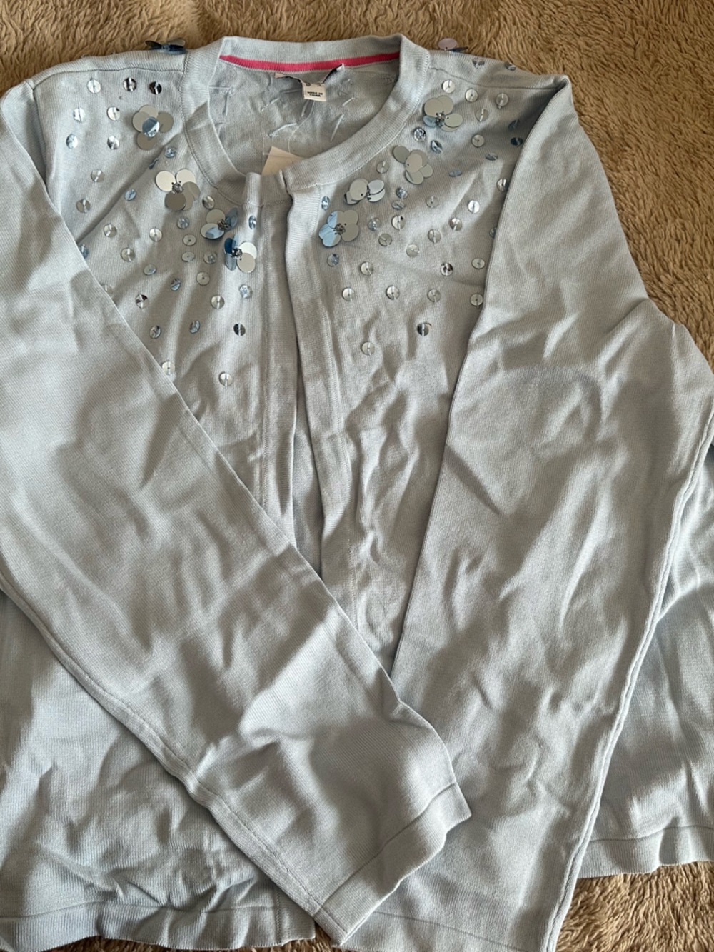 Light Blue Embellished Women's Sweater